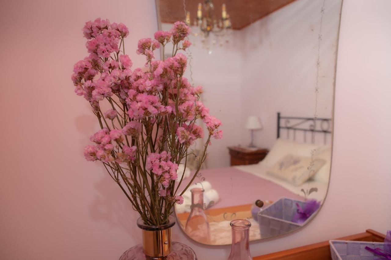 Apartmán La Casa Del Gelsomino Acquaviva Picena Exteriér fotografie